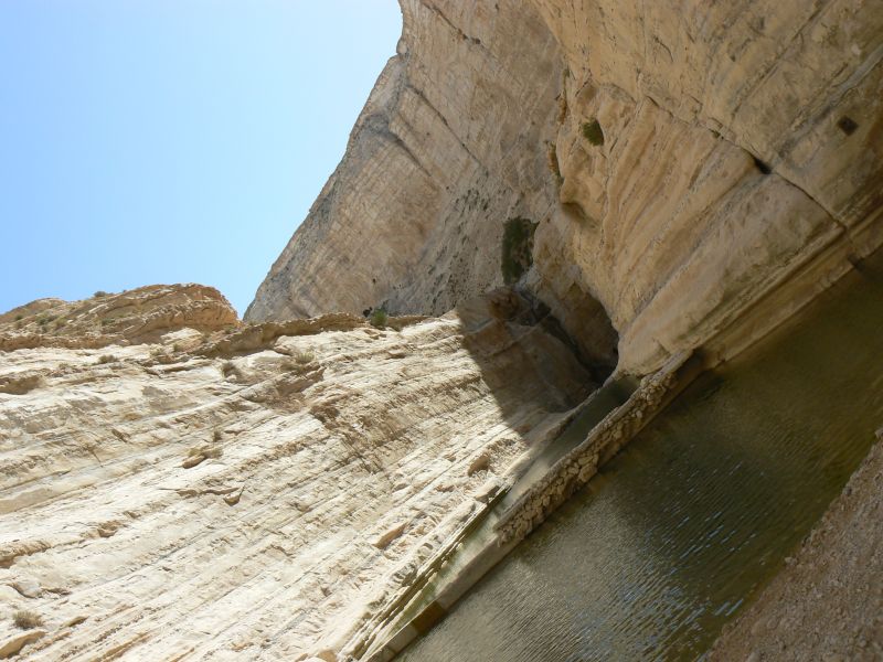 P1130573.JPG