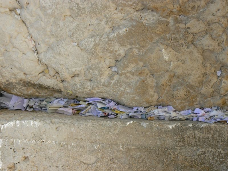 P1130765.JPG