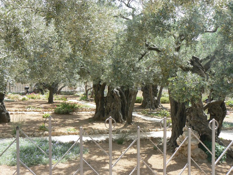 P1130837.JPG
