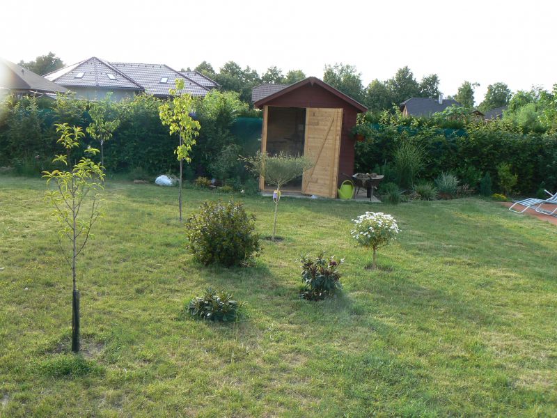 P1180128.JPG