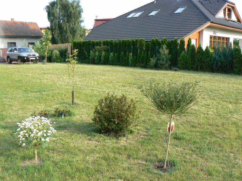 P1180133.JPG