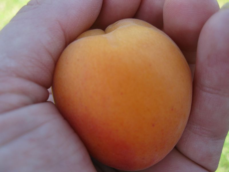 P1190002_3.JPG