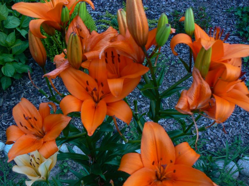 P1190032.JPG