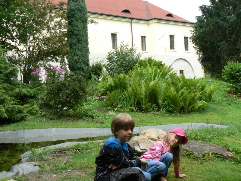 P1210135.JPG