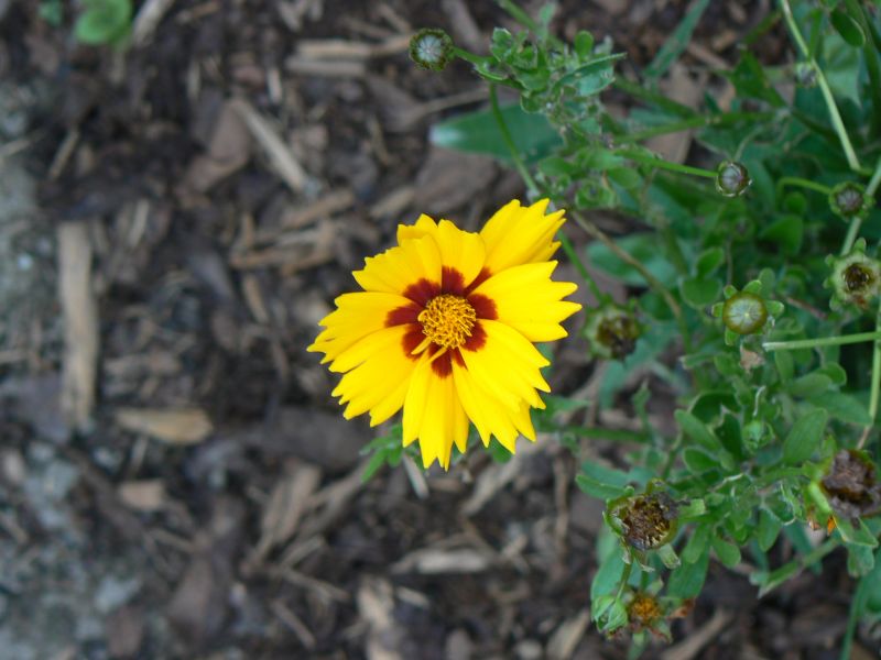 P1210213.JPG