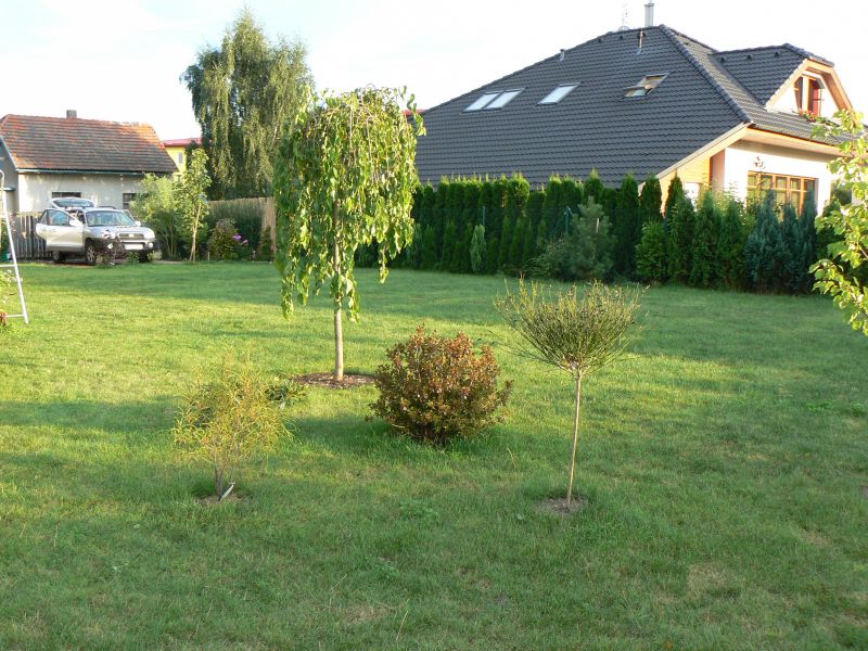 P1210221.JPG