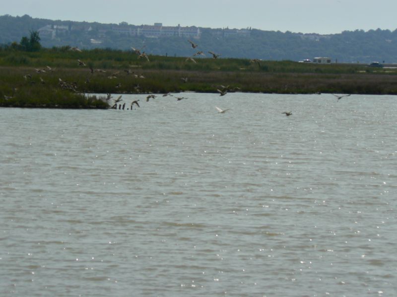 P1210227.JPG