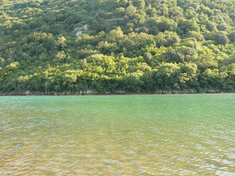 P1210279.JPG