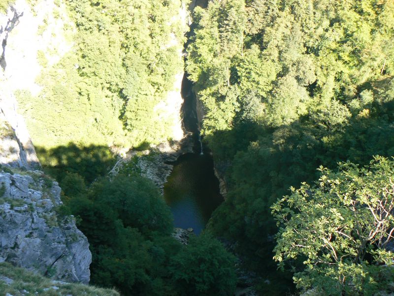 P1210502.JPG