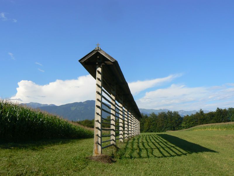 P1210515.JPG