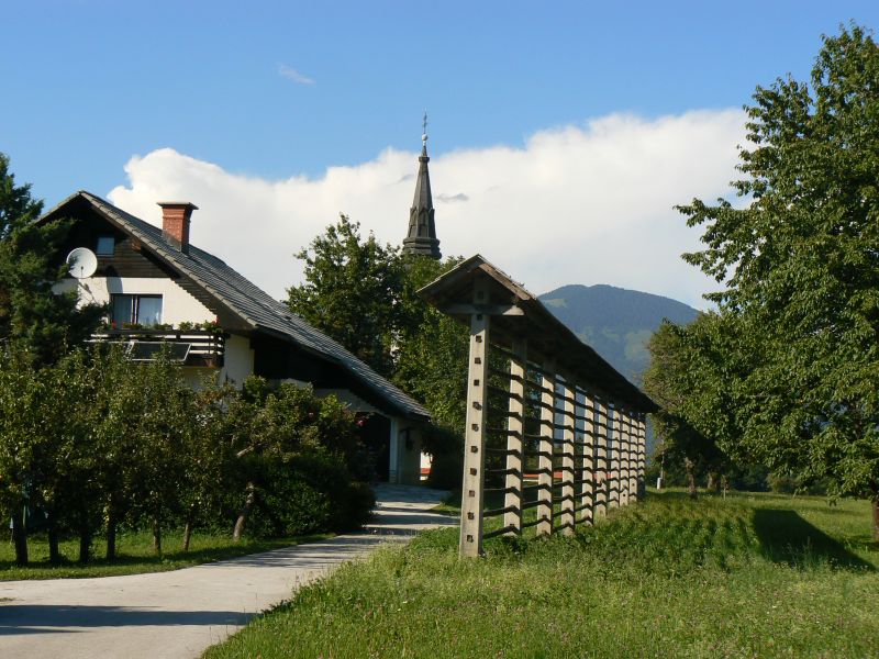 P1210517.JPG