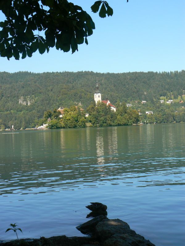 P1210614.JPG