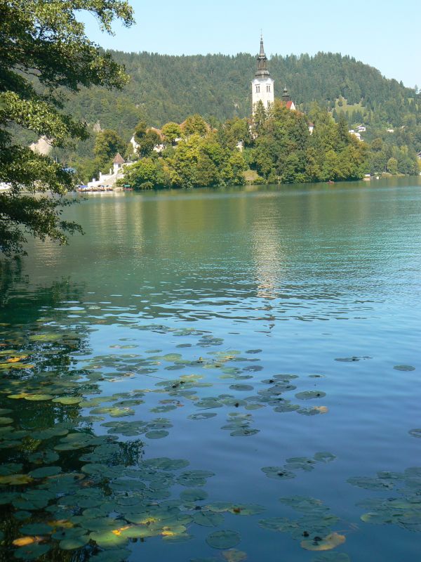 P1210620.JPG