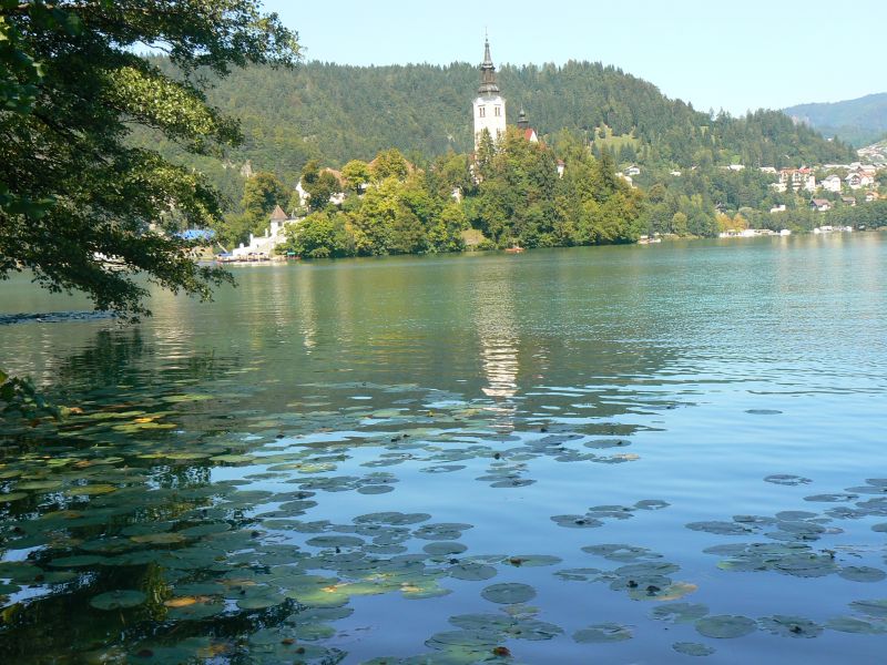 P1210622.JPG