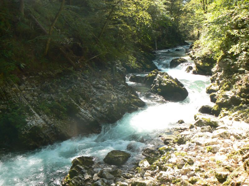 P1210728.JPG