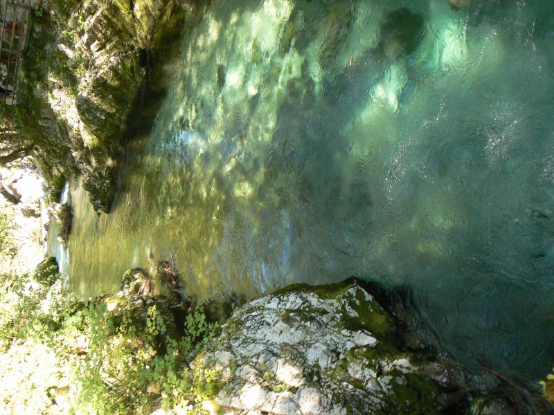 P1210732.JPG