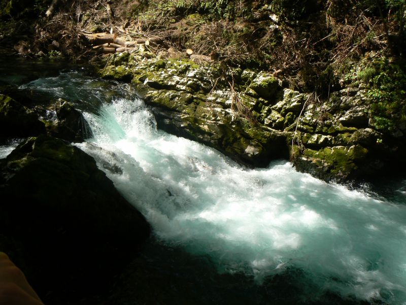 P1210734.JPG