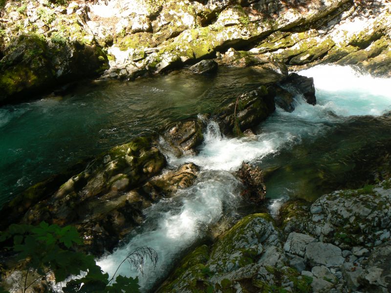 P1210736.JPG