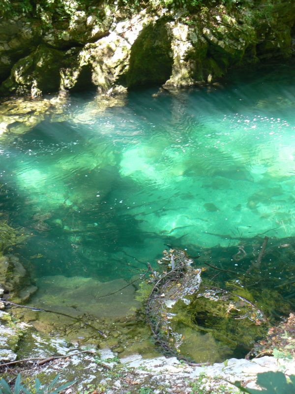 P1210739.JPG