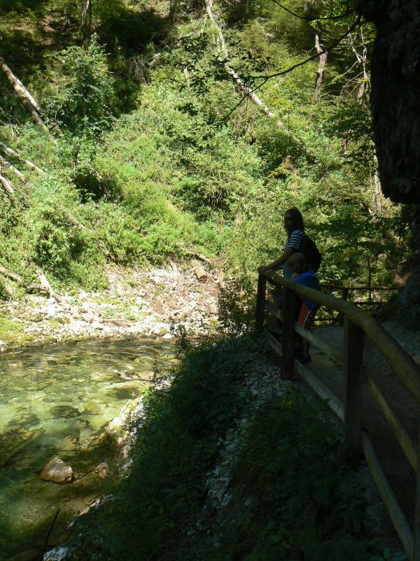 P1210741.JPG