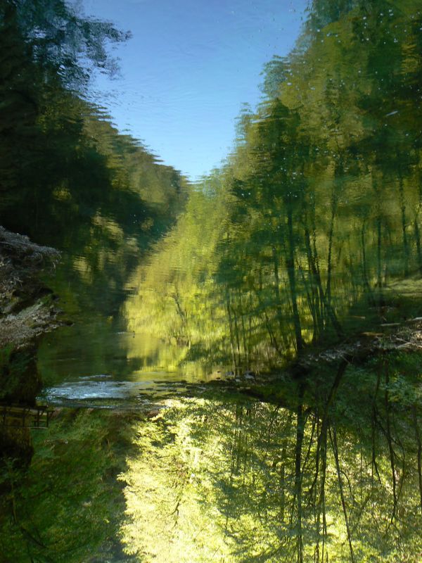 P1210761.JPG