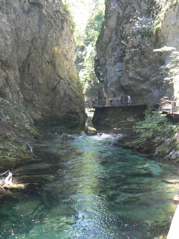 P1210768.JPG