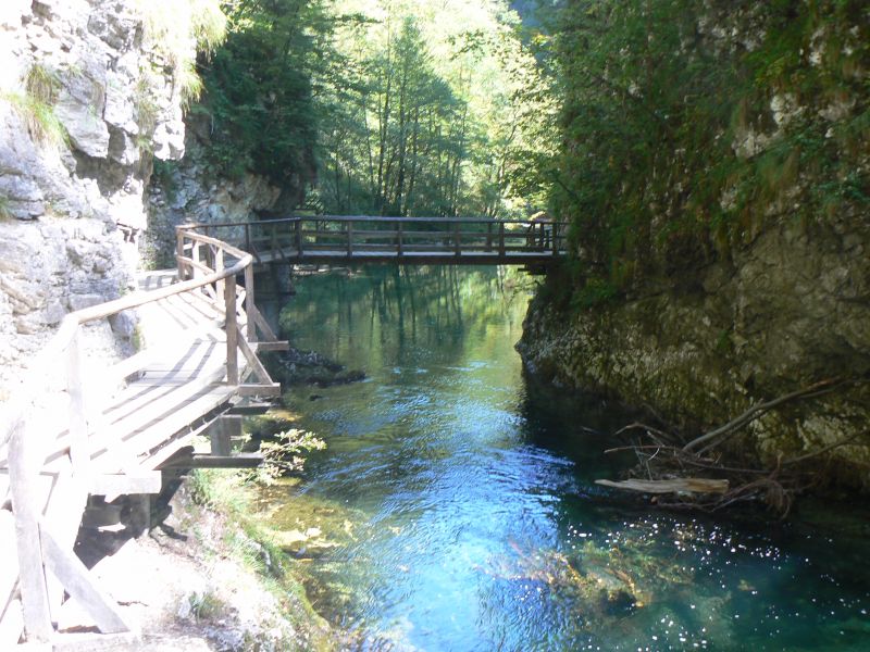 P1210769.JPG