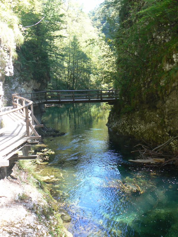 P1210770.JPG