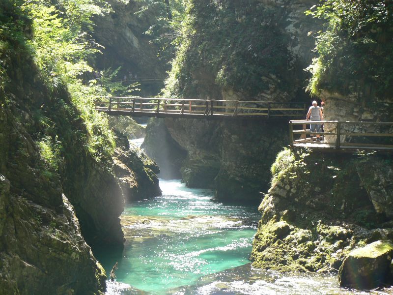 P1210778.JPG
