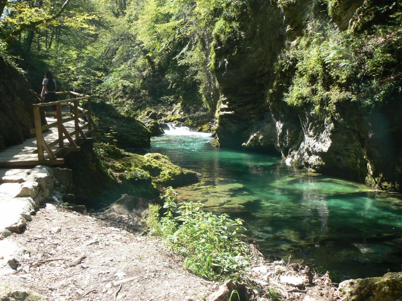 P1210803.JPG