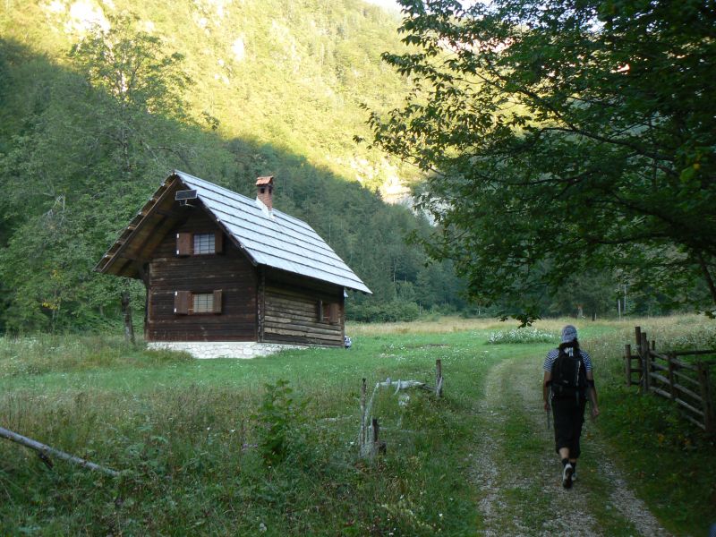 P1210846.JPG