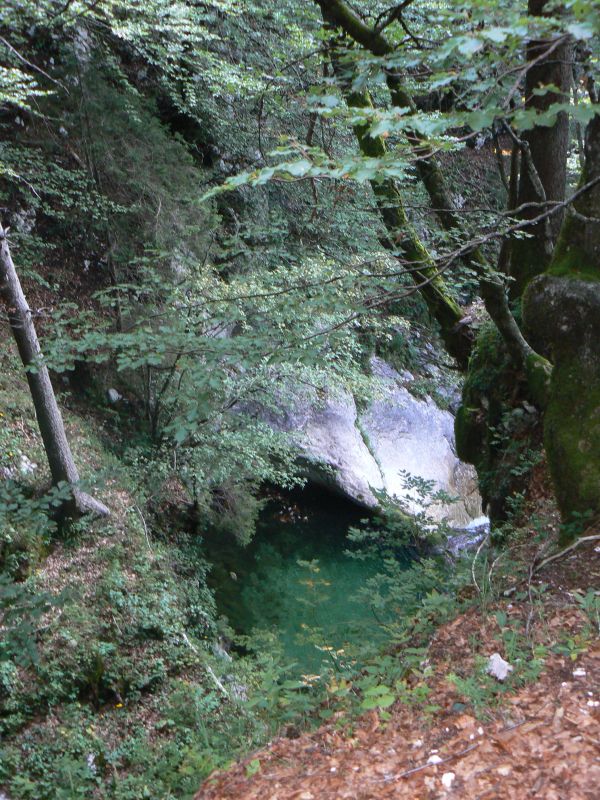P1210853.JPG
