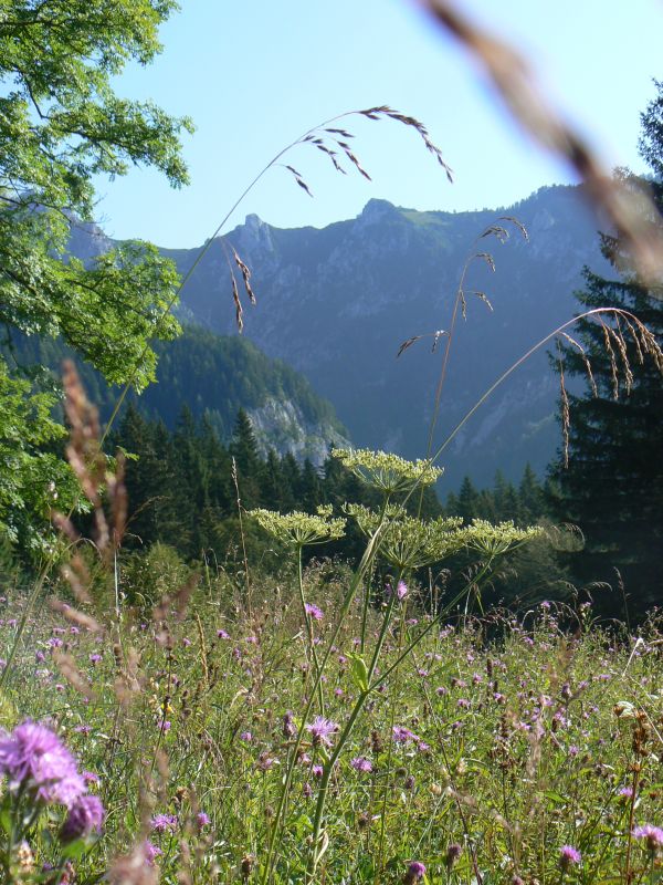 P1210873.JPG