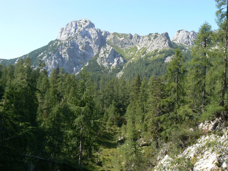 P1210915.JPG