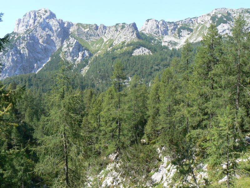 P1210916.JPG
