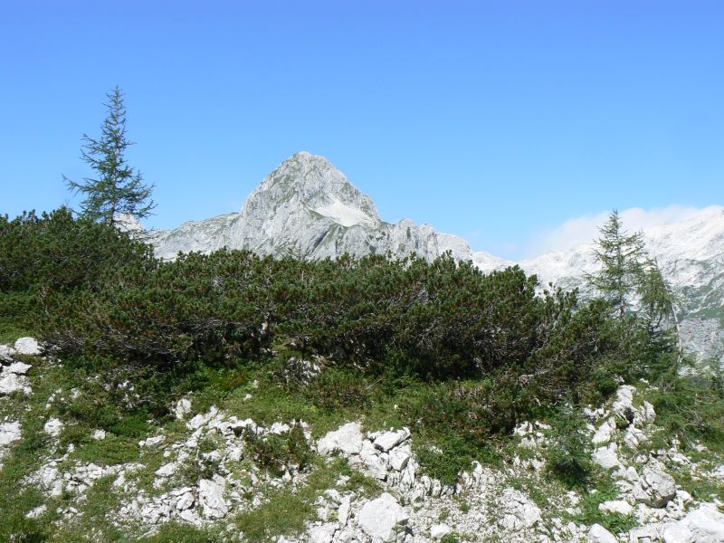 P1210929.JPG