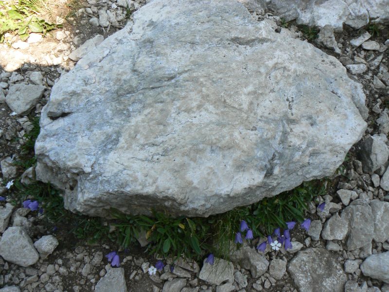 P1210930.JPG