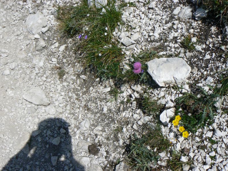 P1210977.JPG