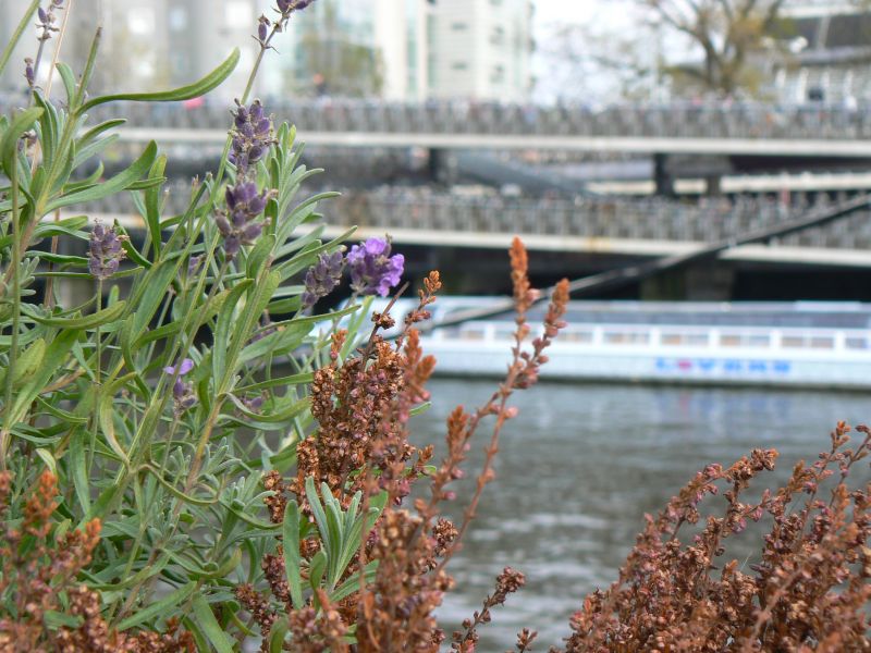 P1220744.JPG