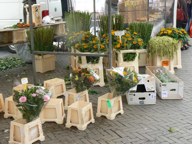 P1220854.JPG