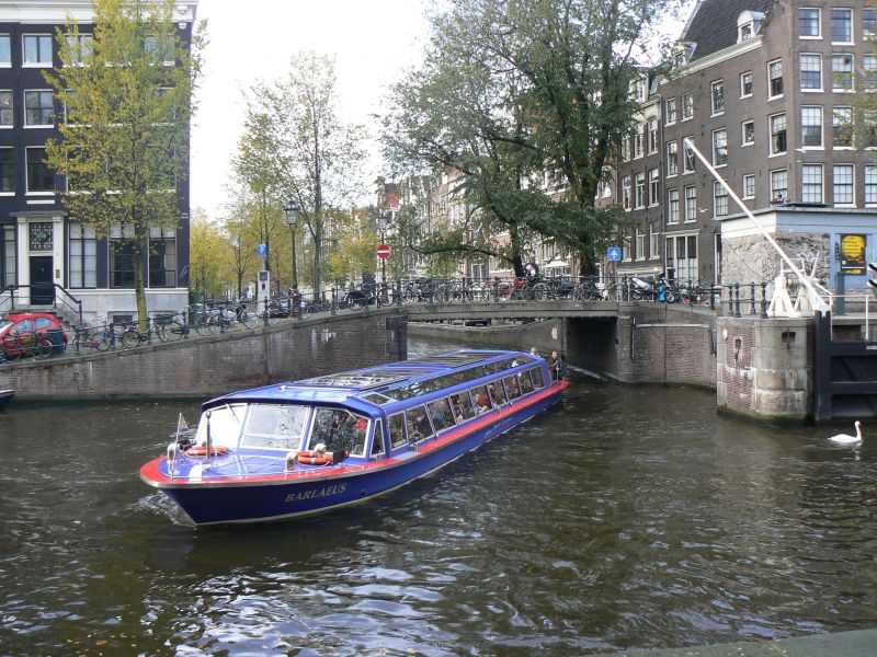 P1220984.JPG