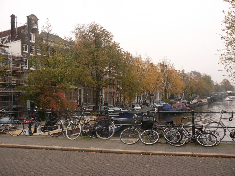 P1230034.JPG