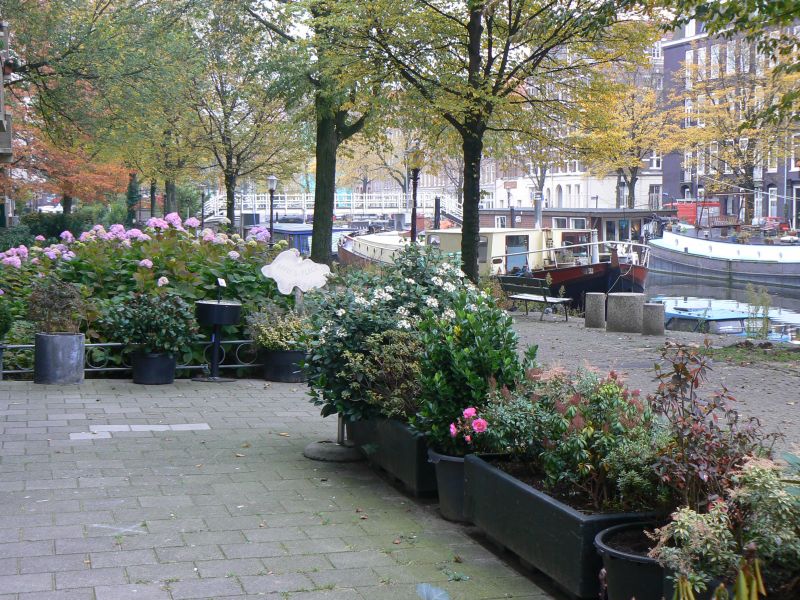 P1230224.JPG