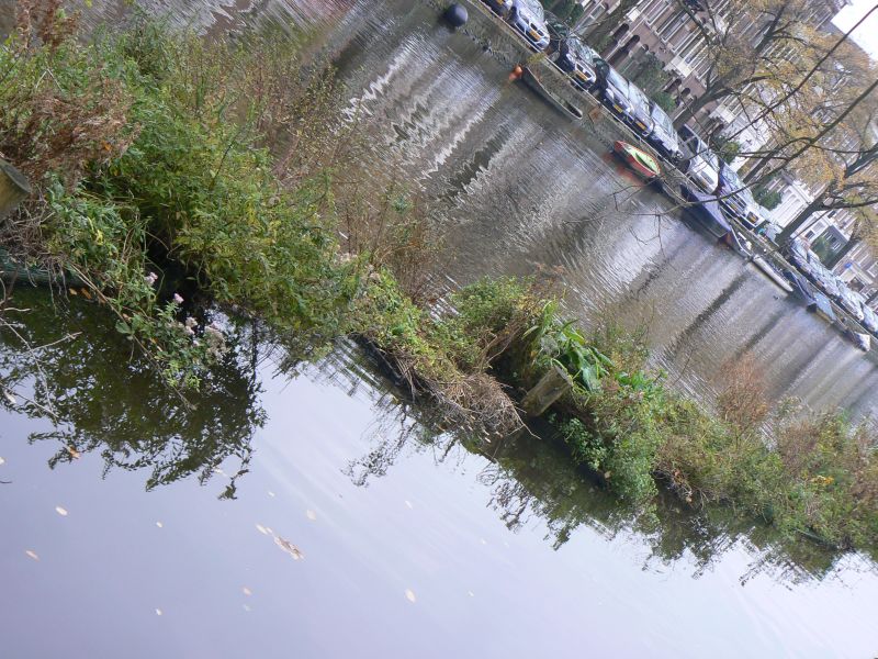 P1230266.JPG
