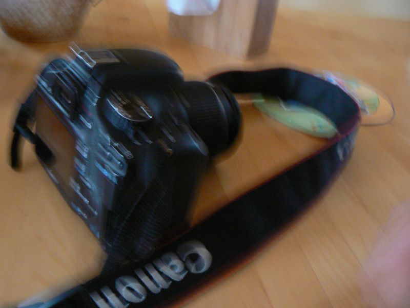 P1250120.JPG