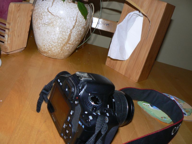 P1250121.JPG