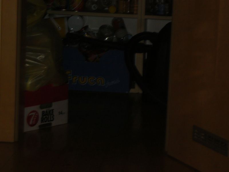 P1250136.JPG