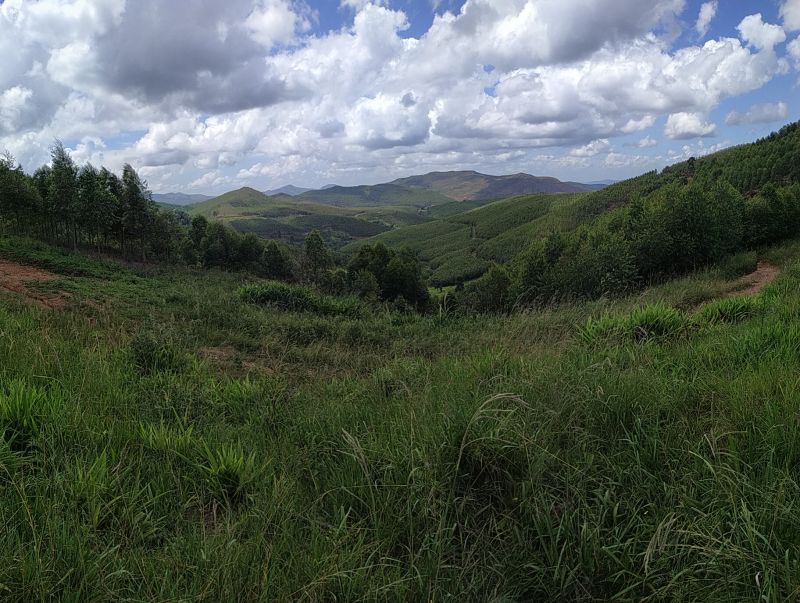 PANO_20200218_130751.jpg