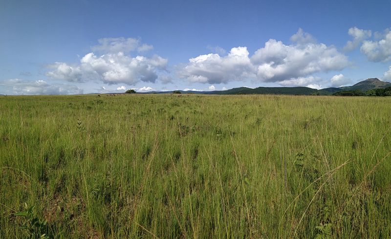 PANO_20200219_083808.jpg