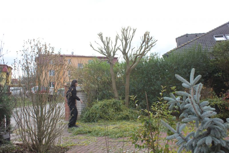 SIMG_0074_281129.JPG